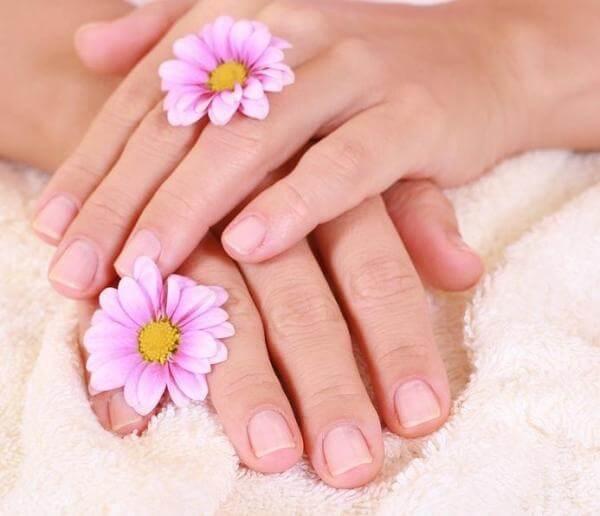 img_17318_ins_3664630_600